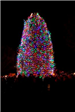 Image of  2017 Agawam Park tree lighting