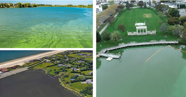 Screenshot 2025-02-06 160630