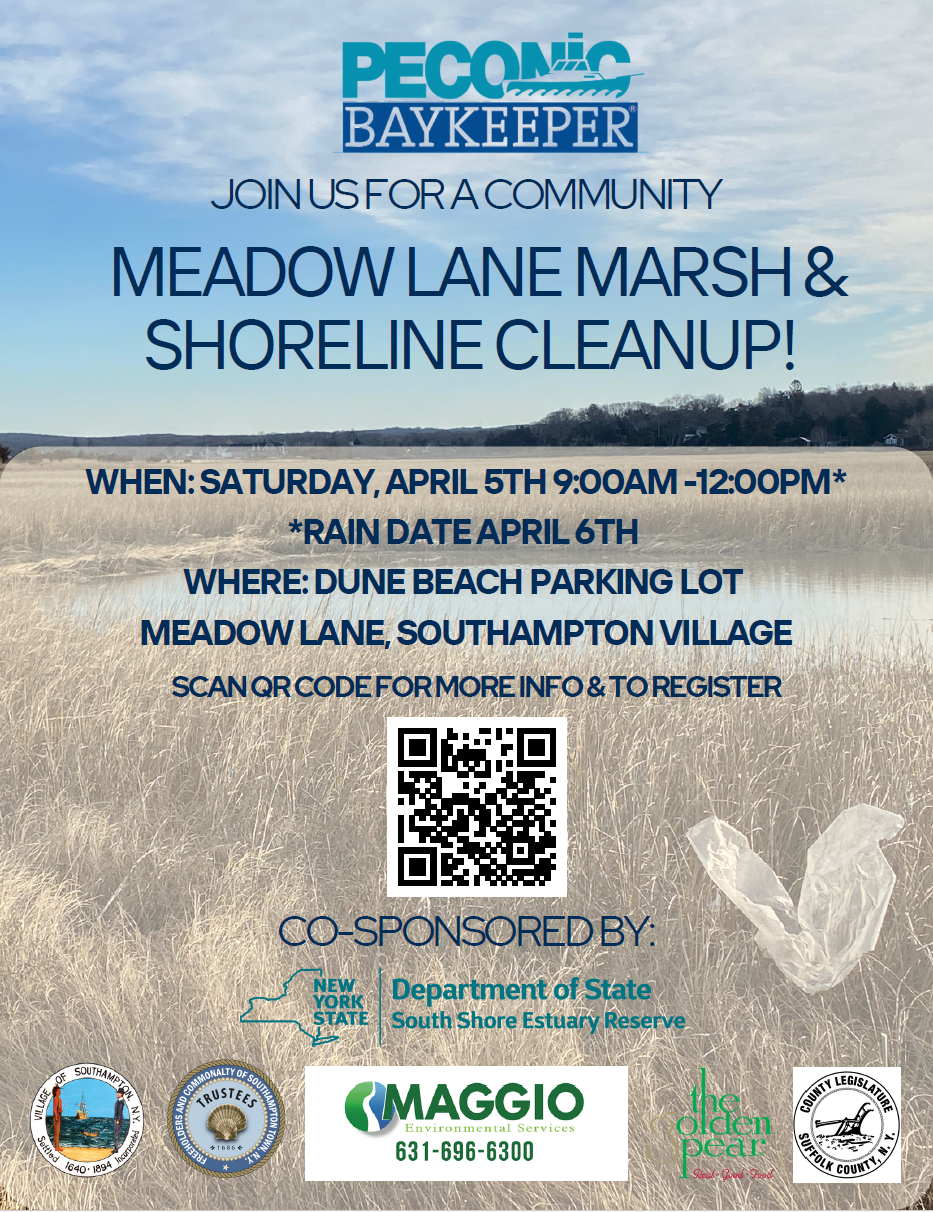 Screenshot 2025-03-14 103917