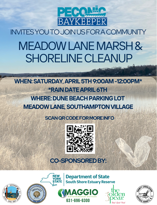 Screenshot 2025-03-28 141406