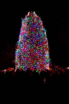 Image of  2017 Agawam Park tree lighting