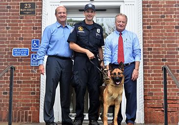 image of Topper 356x257