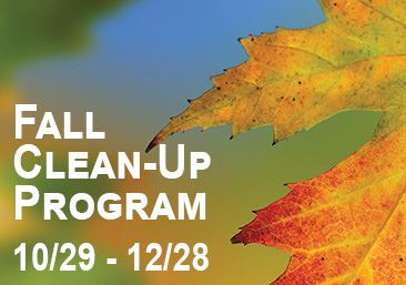 Fall Cleanup 366x255