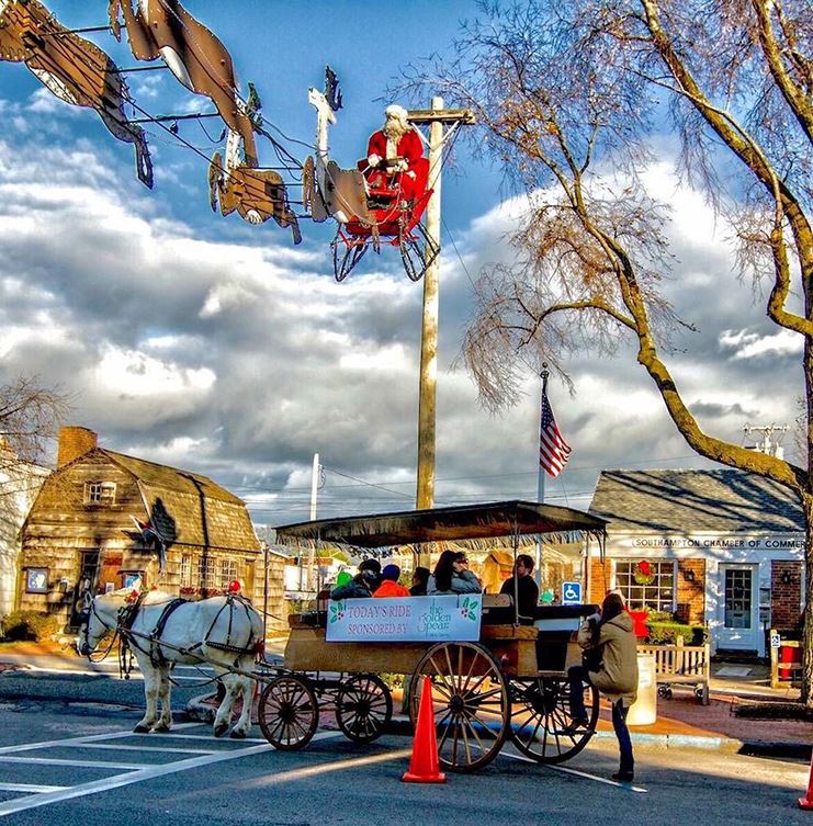 Image of Horse and Buggy 741x753