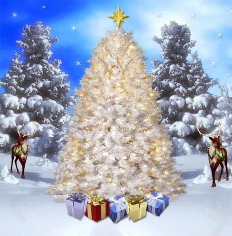 Image of Senior holiday event