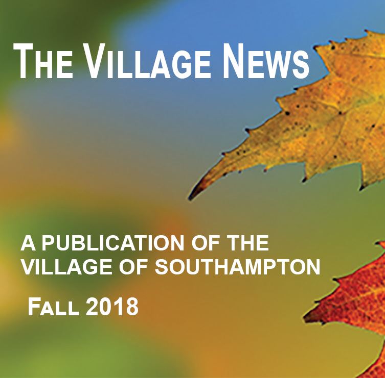 Image of Village Newsletter