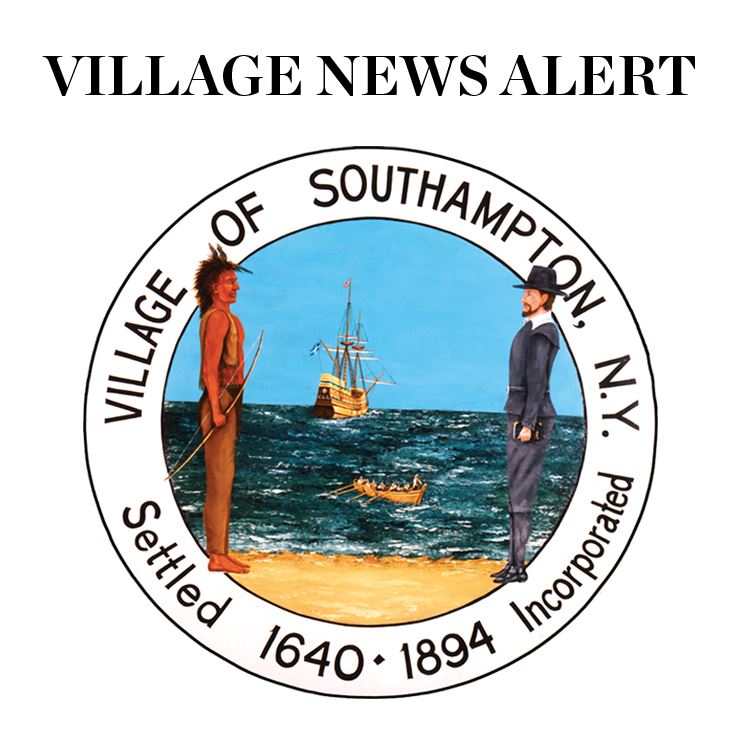 Image of Village News Alert logo