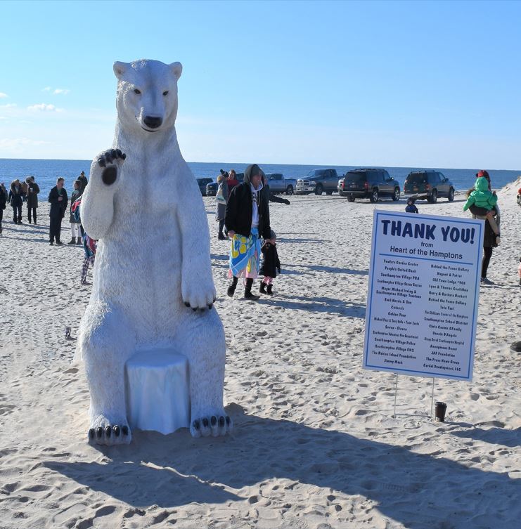 image of Polar Bear Plunge