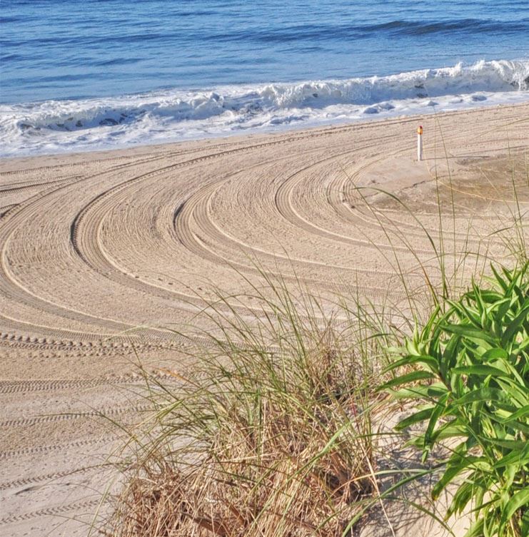 image of beach scene